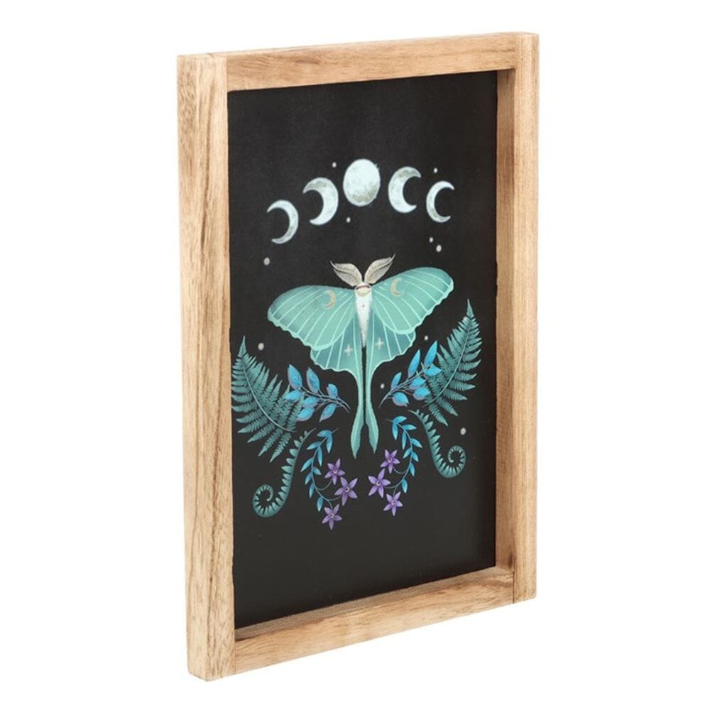 Luna Moth Wooden Framed Wall Art Prints Secret Halo 