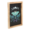 Luna Moth Wooden Framed Wall Art Prints Secret Halo 