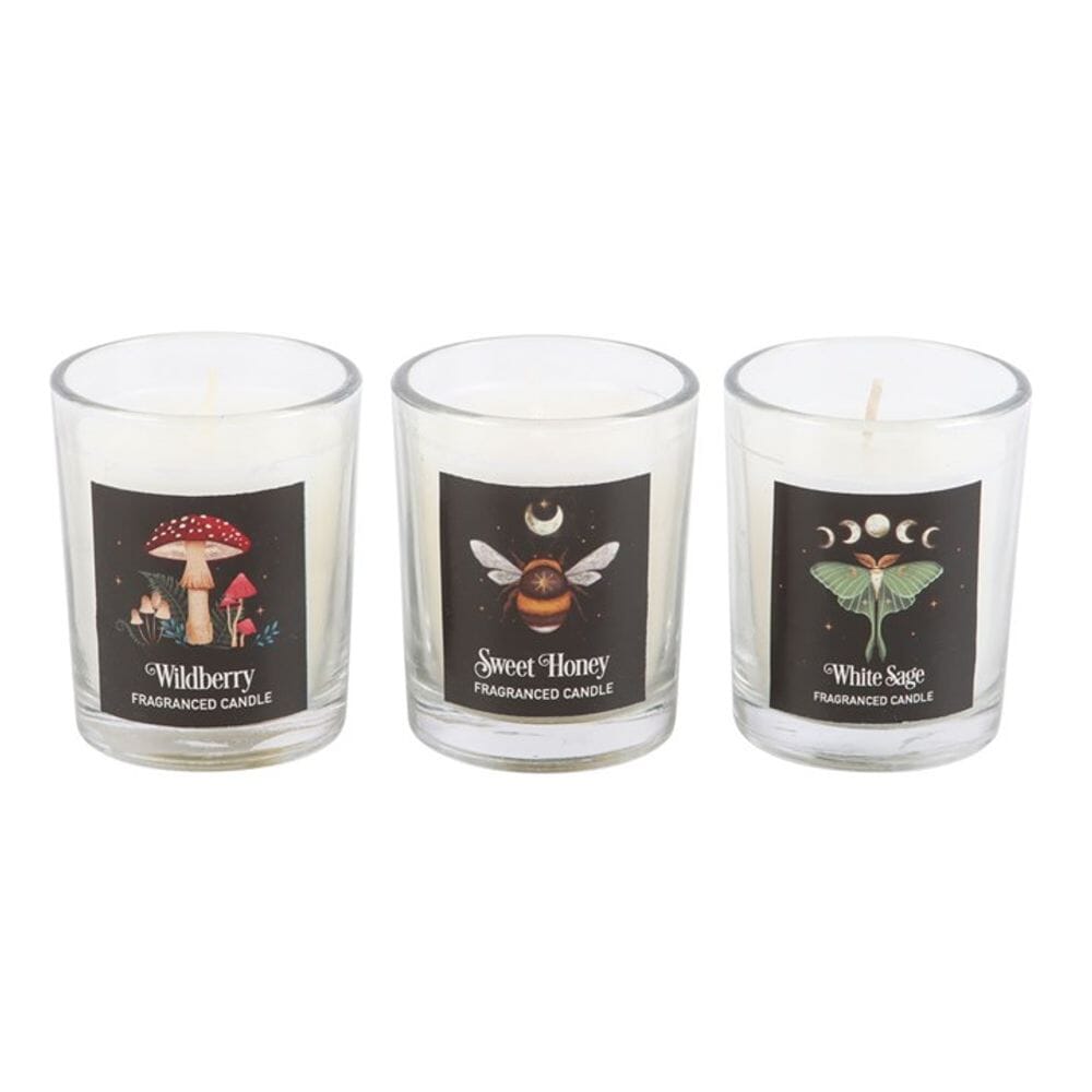 Dark Forest Votive Candle Trio Candles Secret Halo 