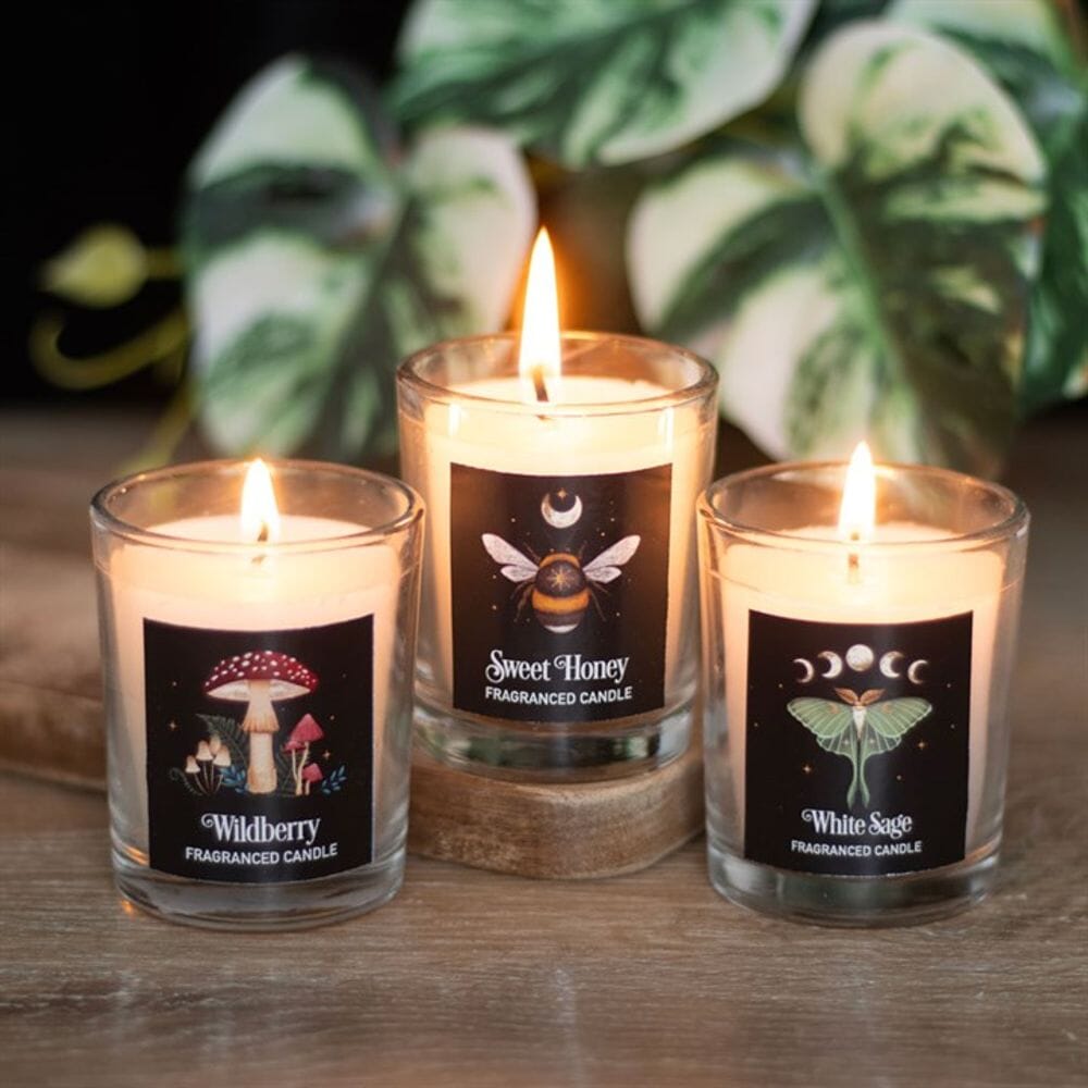 Dark Forest Votive Candle Trio Candles Secret Halo 