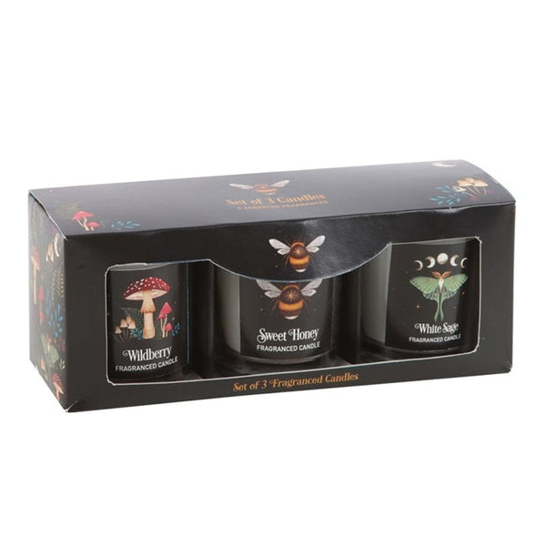 Dark Forest Votive Candle Trio Candles Secret Halo 