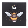 Forest Bee Light Up Canvas Plaque Prints Secret Halo 