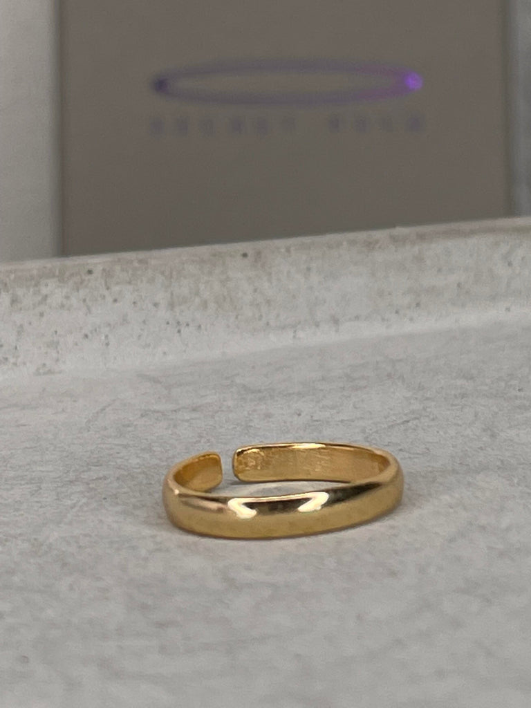 Gold Band Toe Ring Toe Rings Secret Halo 