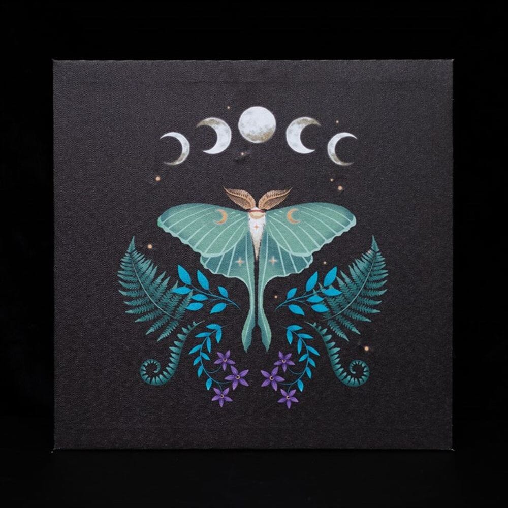 Luna Moth Light Up Canvas Plaque Prints Secret Halo 
