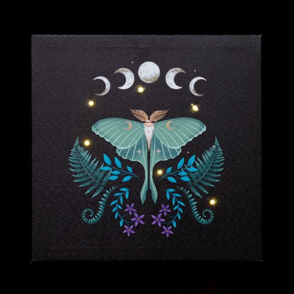 Luna Moth Light Up Canvas Plaque Prints Secret Halo 