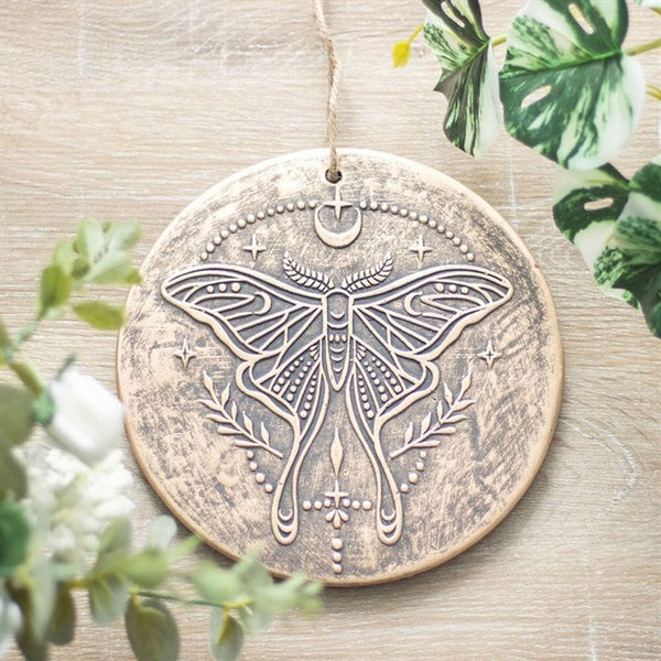 Luna Moth Terracotta Plaque Decor Secret Halo 