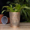 Moon Shadows Bronze Terracotta Plant Pot by Lisa Parker Pots & Planters Secret Halo 