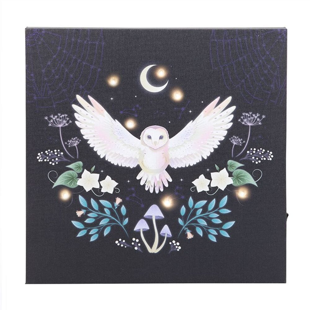 Night Owl Light Up Canvas Plaque Prints Secret Halo 