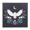 Night Owl Light Up Canvas Plaque Prints Secret Halo 