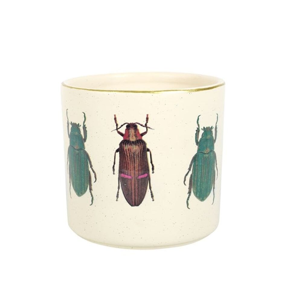 Off White Beetle Plant Pot Pots & Planters Secret Halo 