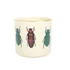 Off White Beetle Plant Pot Pots & Planters Secret Halo 