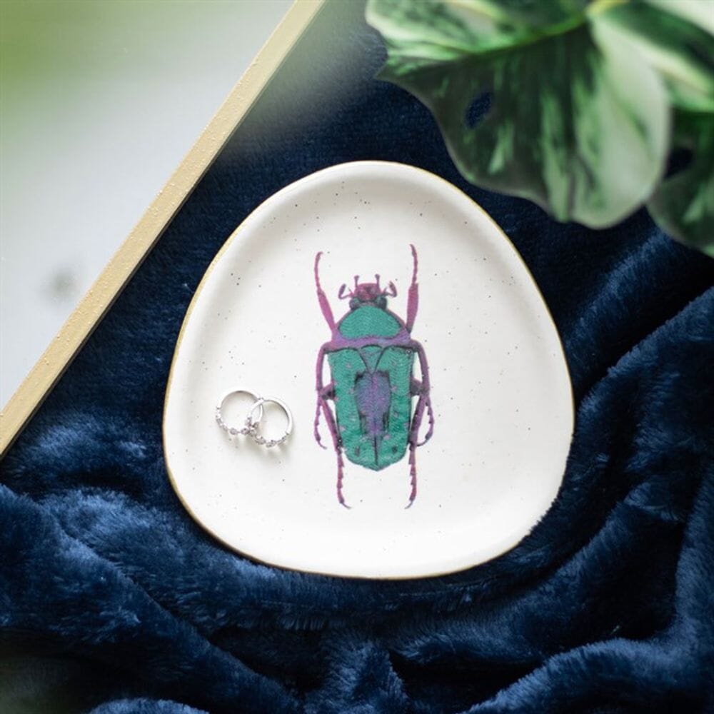 Off White Beetle Trinket Dish Jewellery Storage Secret Halo 