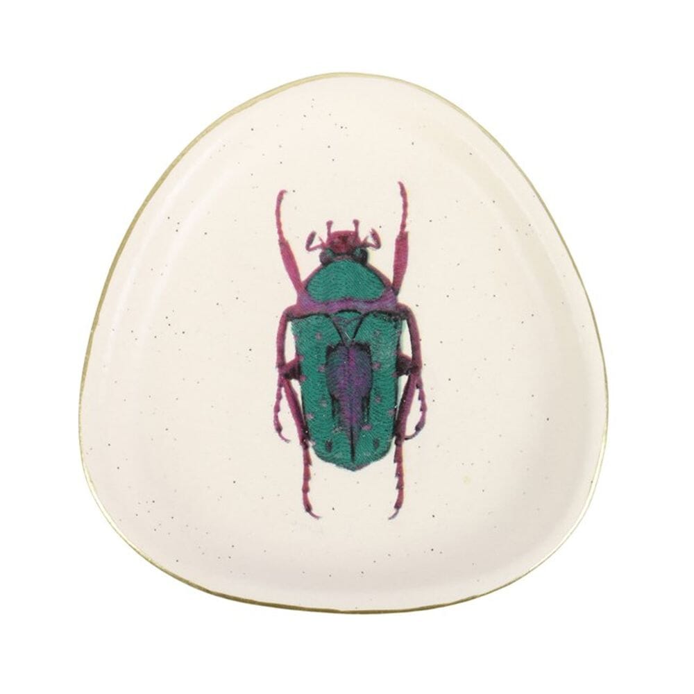 Off White Beetle Trinket Dish Jewellery Storage Secret Halo 