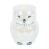 Owl Shaped Iridescent Oil Burner and Wax Warmer Candle Holders Secret Halo 