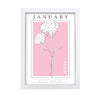 Personalised Birth Flower Framed Print Prints Secret Halo January 