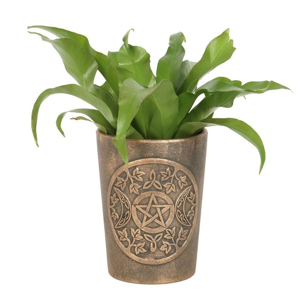 Triple Moon Bronze Terracotta Plant Pot by Lisa Parker Pots & Planters Secret Halo 